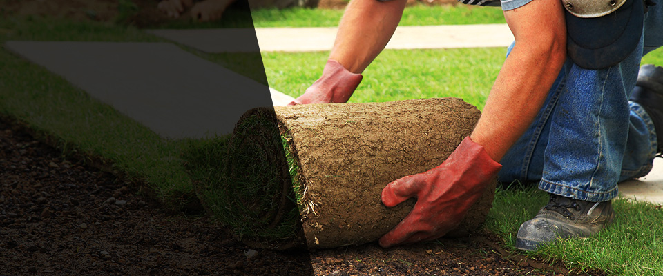 Tiffin Landscapers